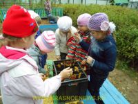 Rasscet (1)